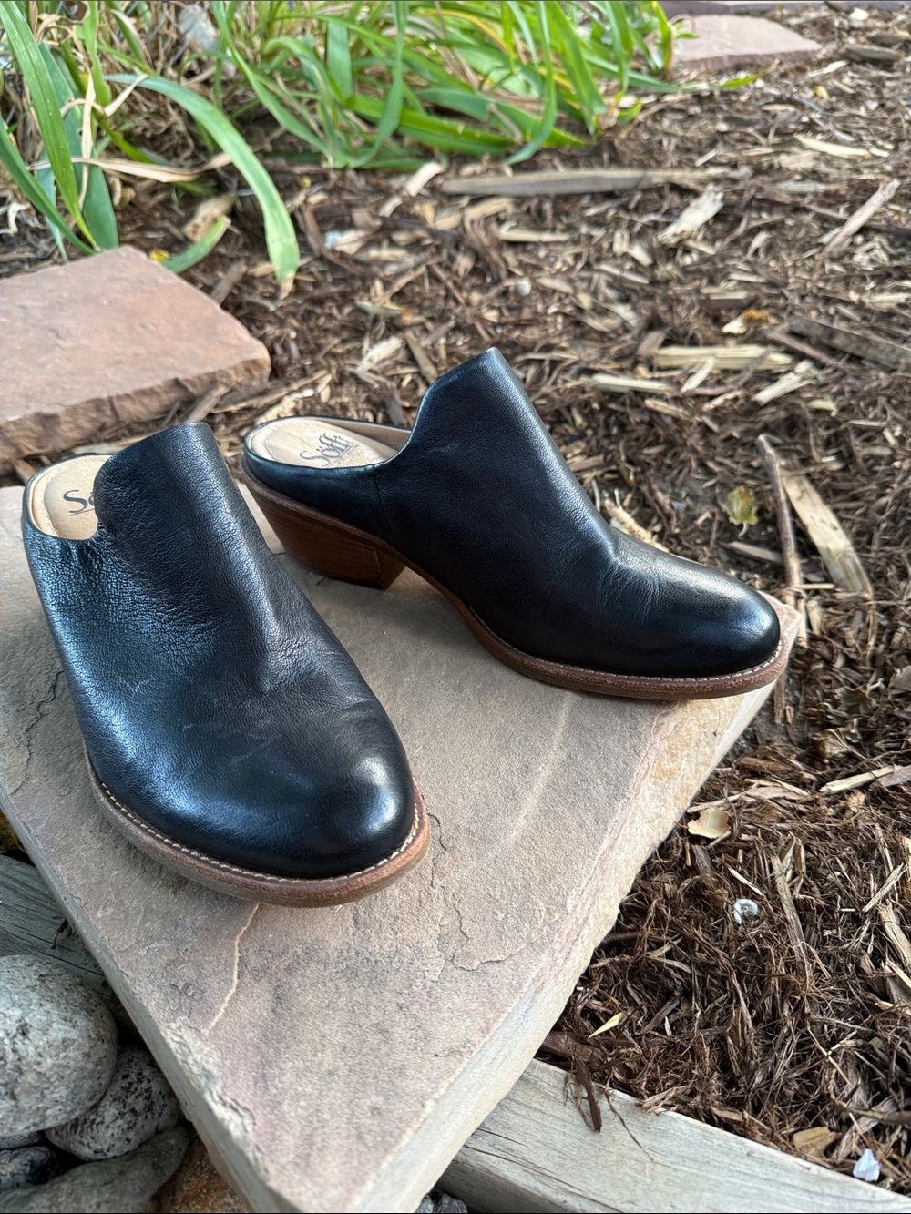 Sofft Leather Women’s Mule Clogs - Picture 2 of 8